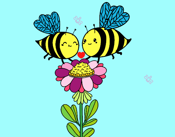 Coppia di api tenerine