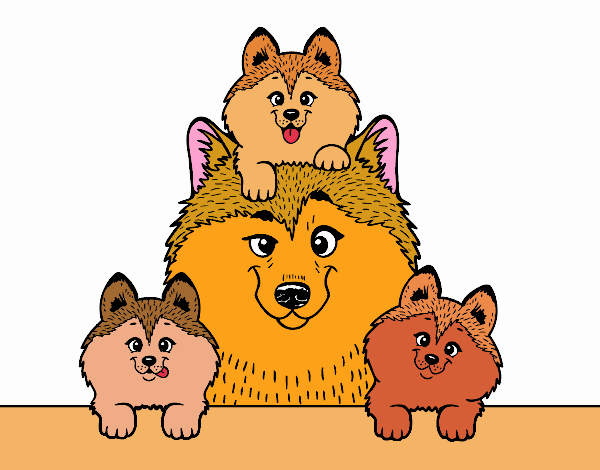 Famiglia dei cani