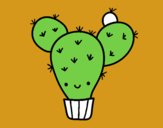 Cactus ficodindia