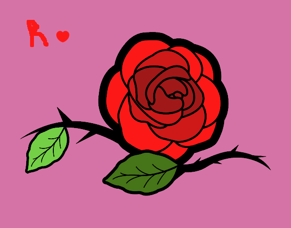 Una Rosa Rossa 
