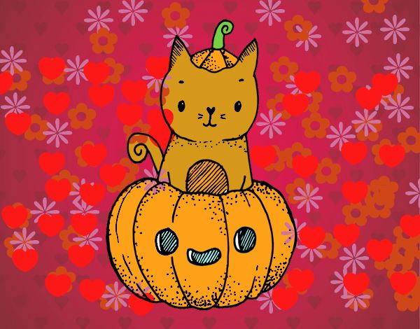 Un gattino di Halloween