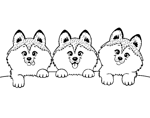 Disegno di 3 cuccioli da Colorare