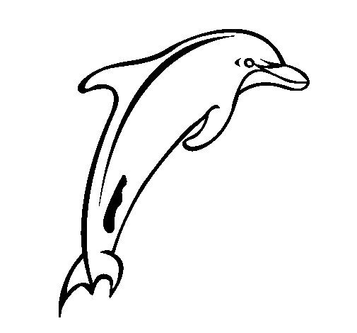 Disegno di Adult delfino da Colorare