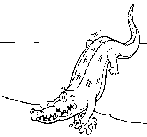 Disegno di Alligatore che entra nell'acqua  da Colorare