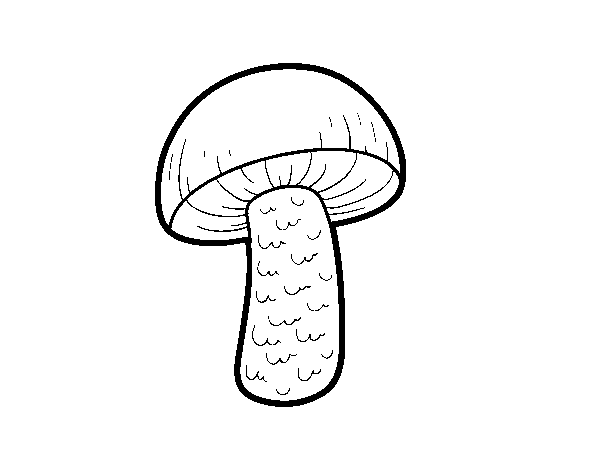 Disegno di Autunno funghi da Colorare