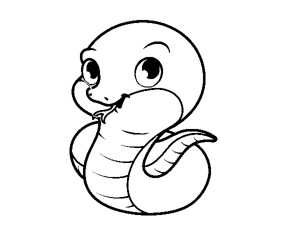 Disegno di Baby serpente da Colorare