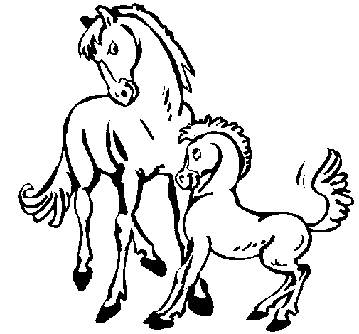 Disegno di Cavalli da Colorare