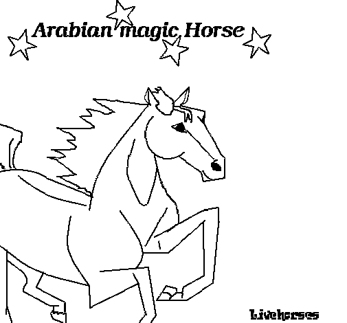 Disegno di Cavallo Arabo da Colorare