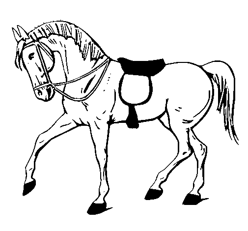 Disegno di Cavallo da competizione da Colorare