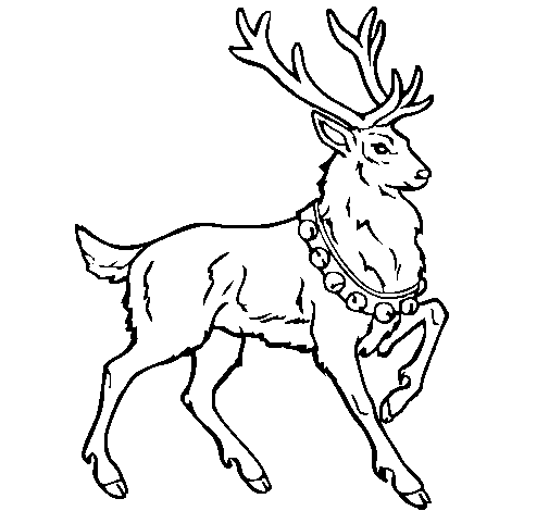 Disegno di Cervo da Colorare