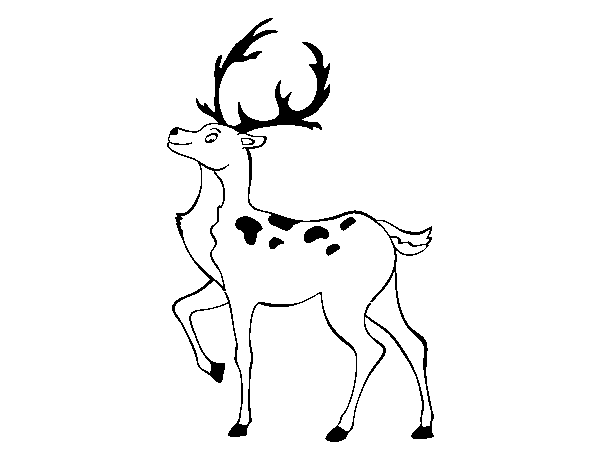 Disegno di Cervo iberico da Colorare