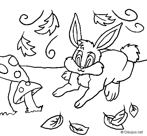 Disegno di Coniglio 2 da Colorare