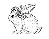 Disegno di Coniglio primavera da colorare