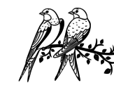 Disegno di Coppia di uccelli da colorare