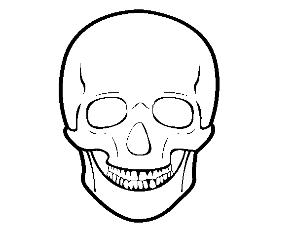 Disegno di Cranio umano da Colorare