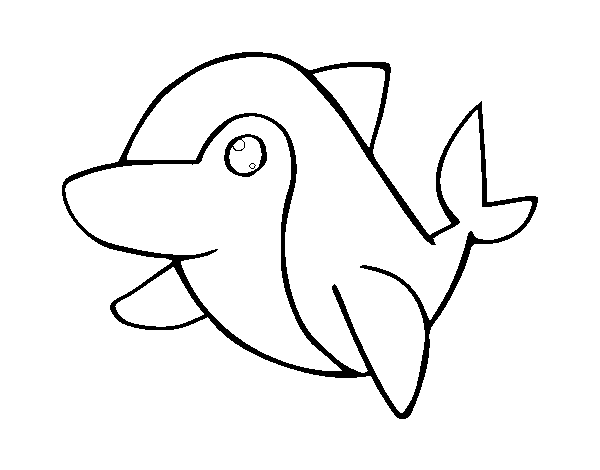 Disegno di Delfino comune da Colorare