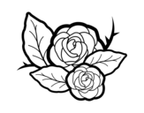 Dibujo de Due rose