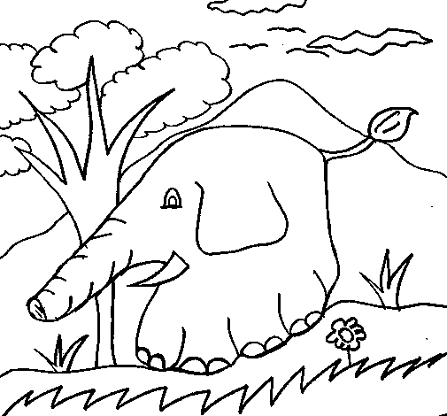 Disegno di Elefante  5 da Colorare