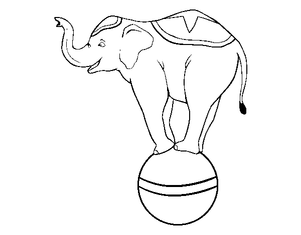 Disegno di Elefante funambolo  da Colorare