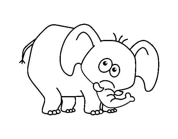 Disegno di Elefante timido da Colorare