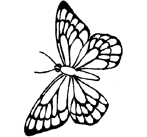 Disegno di Farfalla 10 da Colorare