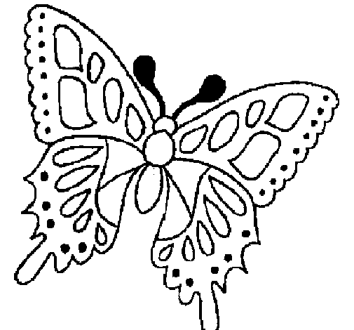 Disegno di Farfalla 2a da Colorare