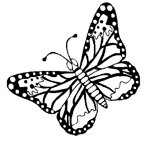 Disegno di Farfalla 4 da Colorare