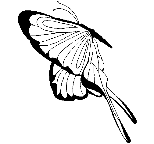 Disegno di Farfalla con grandi ali da Colorare