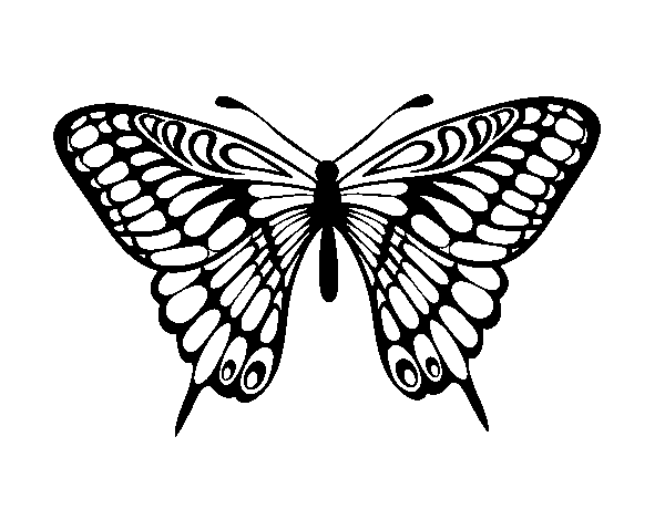 Disegno di Farfalla grande mormone da Colorare