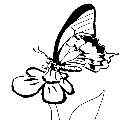 Disegno di Farfalla su un fiore da Colorare