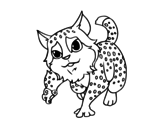 Disegno di Felis silvestris da colorare