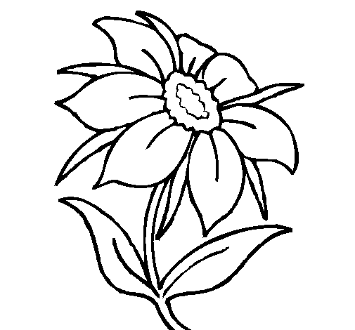 Disegno di Fiore selvatico da Colorare