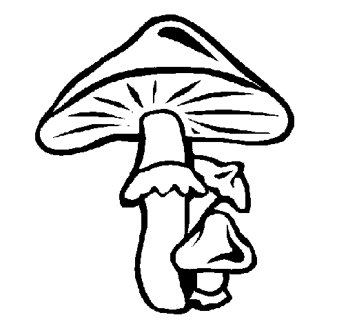Disegno di Funghi da Colorare