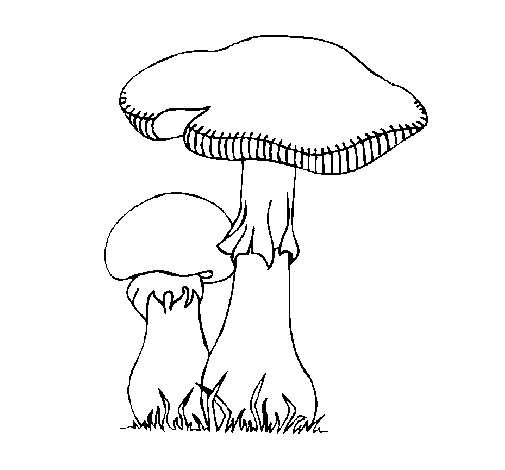 Disegno di Funghi da Colorare