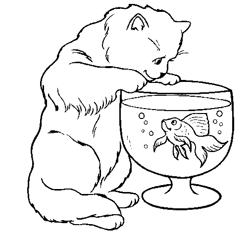 Disegno di Gatto che osserva il pesciolino  da Colorare