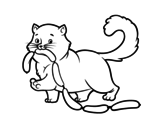 Disegno di Gatto con salsiccia da colorare