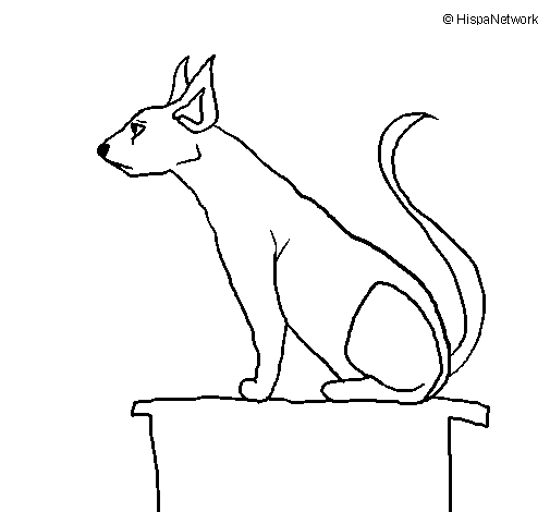 Disegno di Gatto egiziano II da Colorare