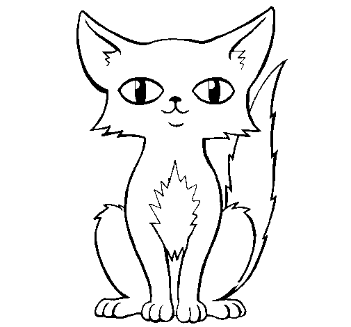 Disegno di Gatto persiano  da Colorare