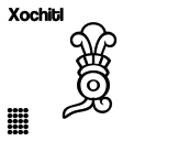 Disegno di I giorni Aztechi: fiore Xochitl da colorare