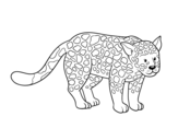 Disegno di Il ghepardo da colorare