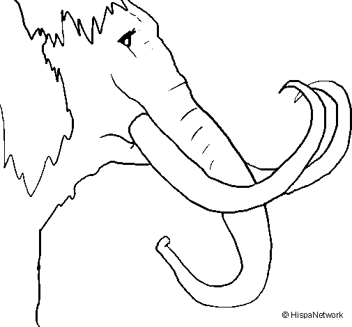 Disegno di Mammuth  da Colorare