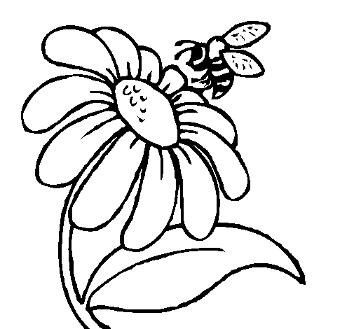Disegno di Margherita con ape  da Colorare