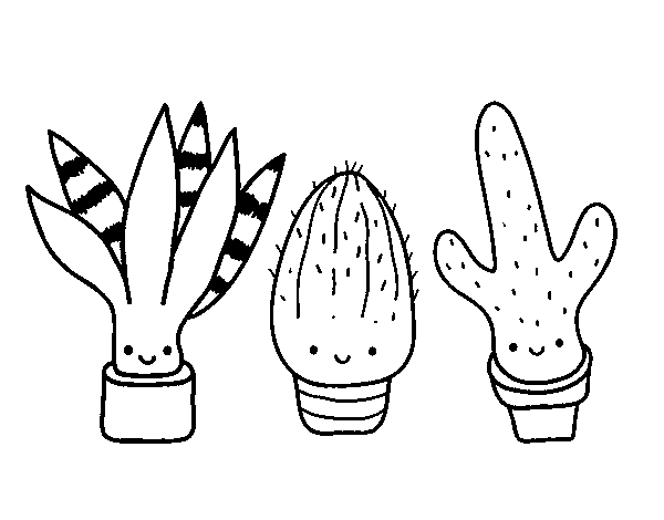 Disegno di Mini cactus da Colorare