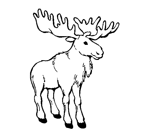 Disegno di Moose da Colorare