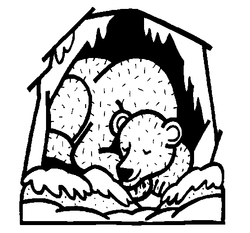 Disegno di Orso in ibernazione da Colorare