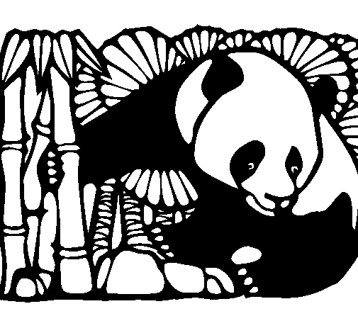 Disegno di Orso panda con bambù  da Colorare
