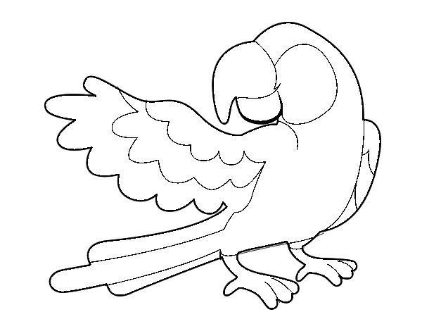 Disegno di Pappagallo con le ali aperte da Colorare