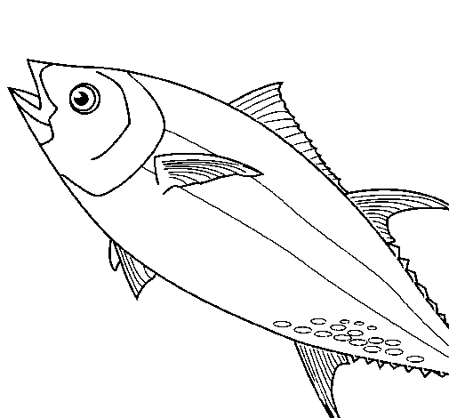 Disegno di Pesce  5 da Colorare