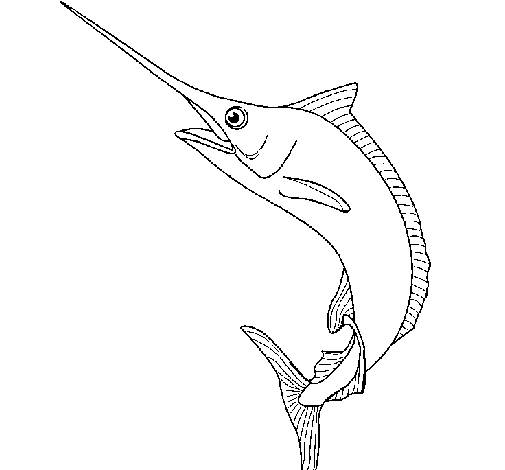 Disegno di Pesce spada  da Colorare