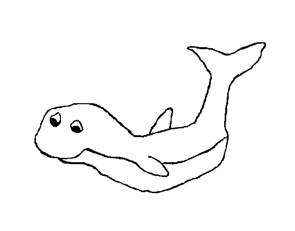 Disegno di Piccola balena da Colorare
